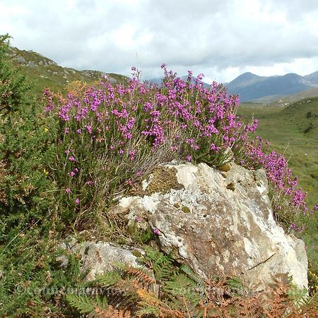 Errismore House Clifden Luaran gambar